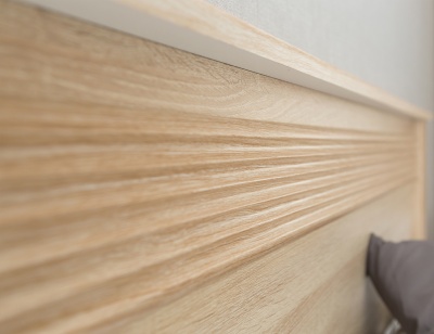 Диана Мод.Д3б Кровать  без ортопед. основания (спальное место 120х200 см)